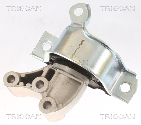 TRISCAN 8505 15111 Lagerung, Motor