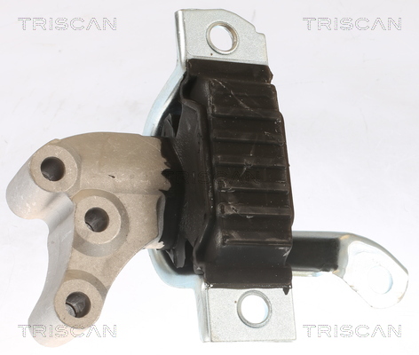 TRISCAN 8505 15111 Lagerung, Motor