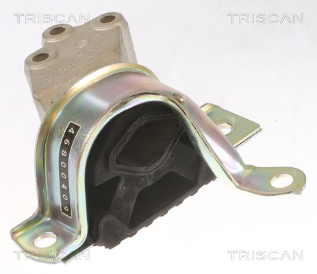 TRISCAN 8505 15112 Lagerung, Motor