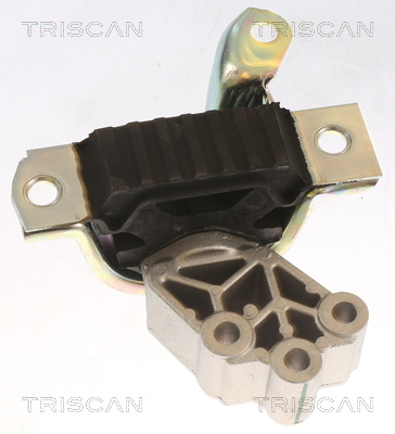 TRISCAN 8505 15112 Lagerung, Motor