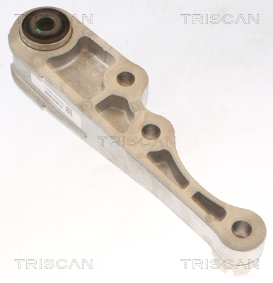TRISCAN 8505 15113 Lagerung, Motor