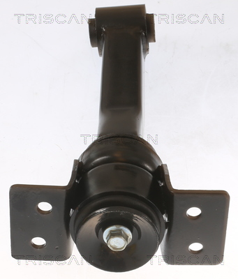 TRISCAN 8505 16100 Lagerung, Motor