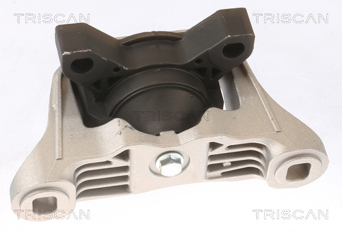 TRISCAN 8505 16101 Lagerung, Motor