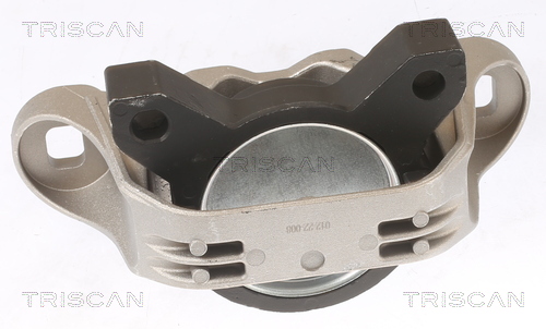 TRISCAN 8505 16101 Lagerung, Motor