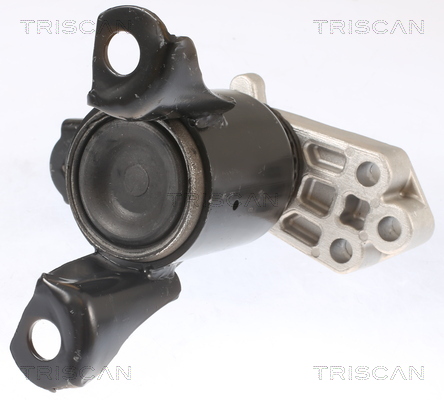 TRISCAN 8505 16102 Lagerung, Motor