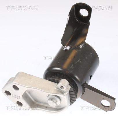 TRISCAN 8505 16102 Lagerung, Motor