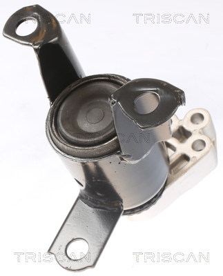 TRISCAN 8505 16102 Lagerung, Motor