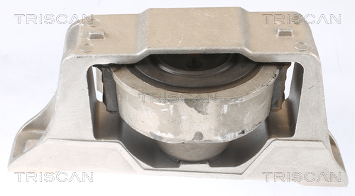 TRISCAN 8505 16104 Lagerung, Motor