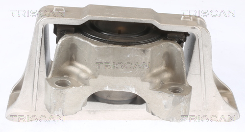 TRISCAN 8505 16104 Lagerung, Motor