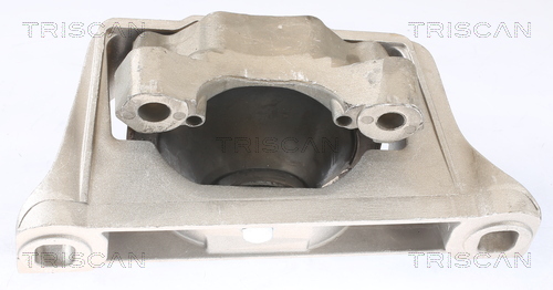 TRISCAN 8505 16104 Lagerung, Motor