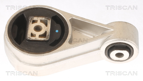 TRISCAN 8505 16105 Lagerung, Motor