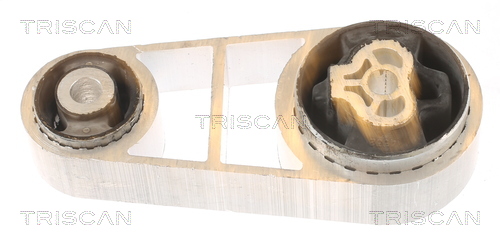 TRISCAN 8505 16106 Lagerung, Motor