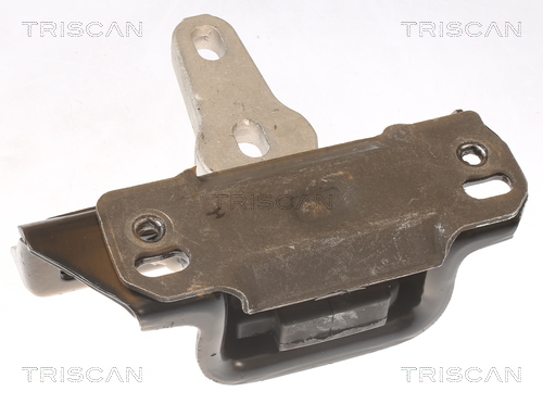 TRISCAN 8505 16107 Lagerung, Motor