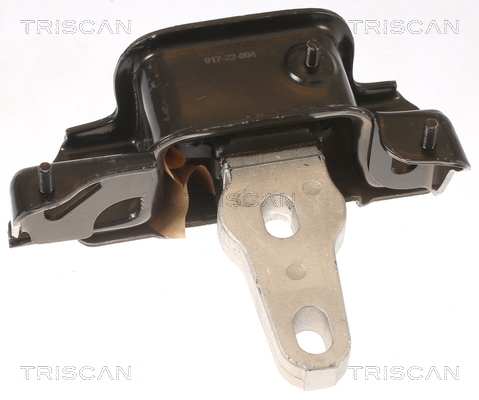 TRISCAN 8505 16107 Lagerung, Motor