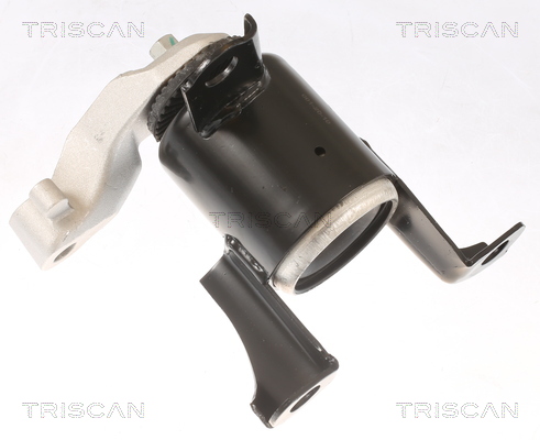 TRISCAN 8505 16108 Lagerung, Motor
