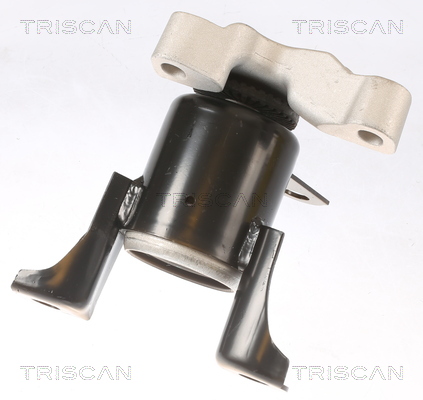 TRISCAN 8505 16108 Lagerung, Motor