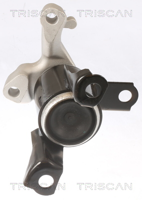 TRISCAN 8505 16108 Lagerung, Motor