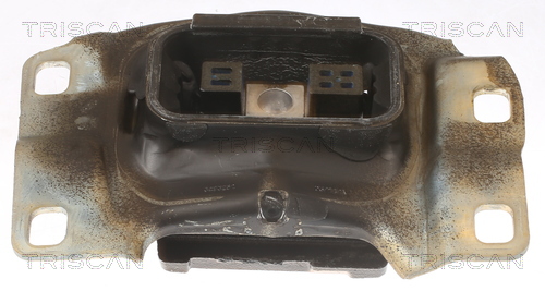 TRISCAN 8505 16109 Lagerung, Motor