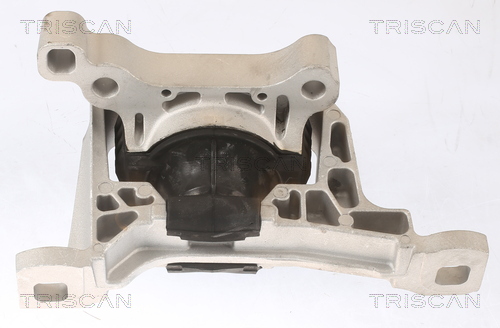 TRISCAN 8505 16111 Lagerung, Motor