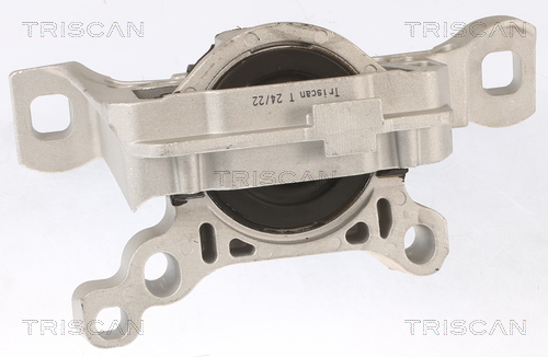 TRISCAN 8505 16111 Lagerung, Motor