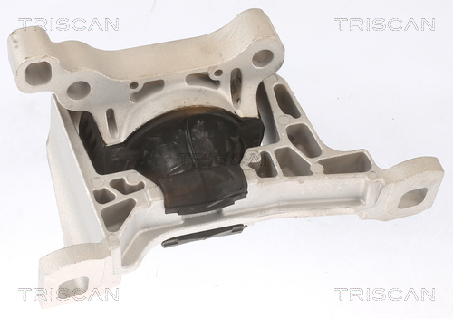 TRISCAN 8505 16111 Lagerung, Motor