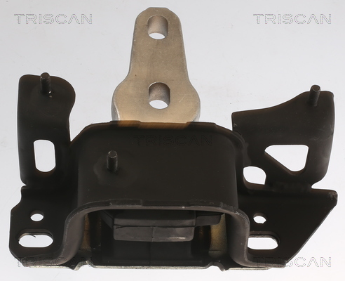 TRISCAN 8505 16112 Lagerung, Motor