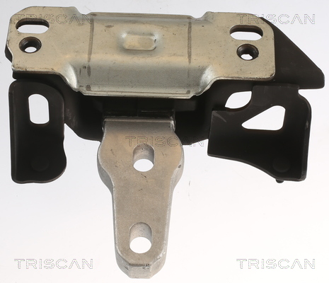 TRISCAN 8505 16112 Lagerung, Motor