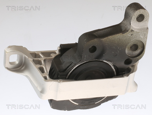TRISCAN 8505 16113 Lagerung, Motor