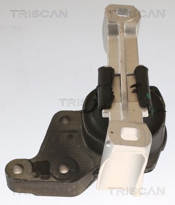TRISCAN 8505 16113 Lagerung, Motor