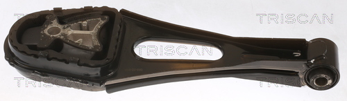 TRISCAN 8505 16114 Lagerung, Motor