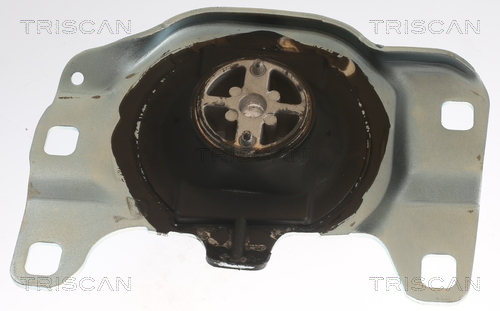 TRISCAN 8505 16115 Lagerung, Motor