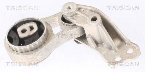 TRISCAN 8505 16117 Lagerung, Motor