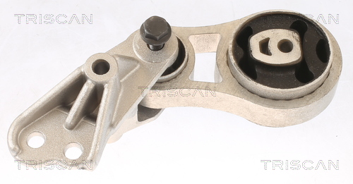 TRISCAN 8505 16117 Lagerung, Motor