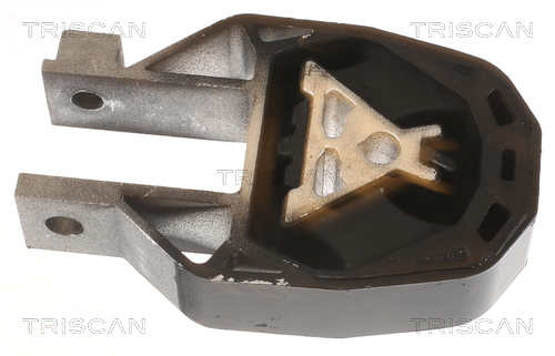 TRISCAN 8505 16118 Lagerung, Motor