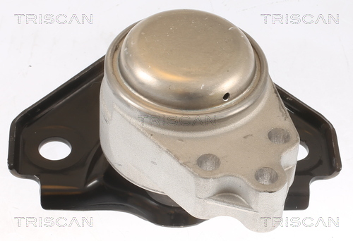 TRISCAN 8505 16119 Lagerung, Motor
