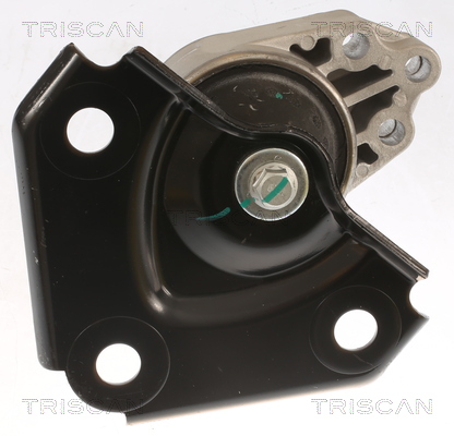 TRISCAN 8505 16119 Lagerung, Motor