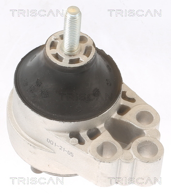 TRISCAN 8505 16120 Lagerung, Motor