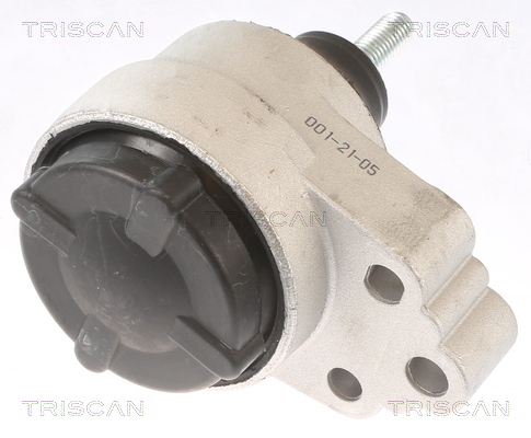 TRISCAN 8505 16120 Lagerung, Motor