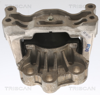 TRISCAN 8505 16121 Lagerung, Motor