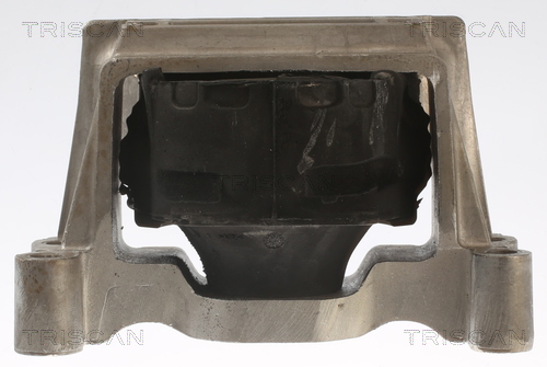 TRISCAN 8505 16121 Lagerung, Motor