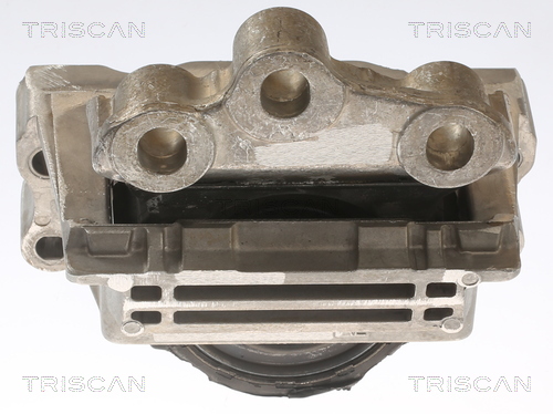TRISCAN 8505 16121 Lagerung, Motor
