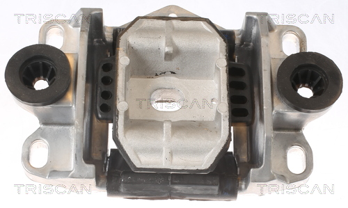 TRISCAN 8505 16122 Lagerung, Motor