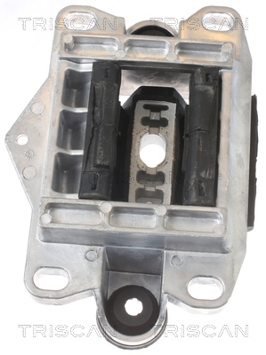 TRISCAN 8505 16122 Lagerung, Motor