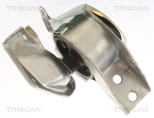TRISCAN 8505 23100 Lagerung, Motor