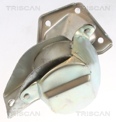 TRISCAN 8505 23100 Lagerung, Motor