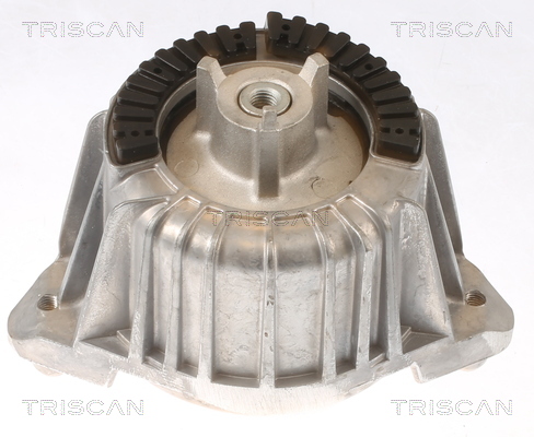 TRISCAN 8505 23101 Lagerung, Motor