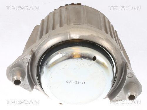 TRISCAN 8505 23101 Lagerung, Motor