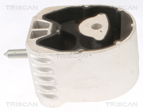 TRISCAN 8505 23102 Lagerung, Motor