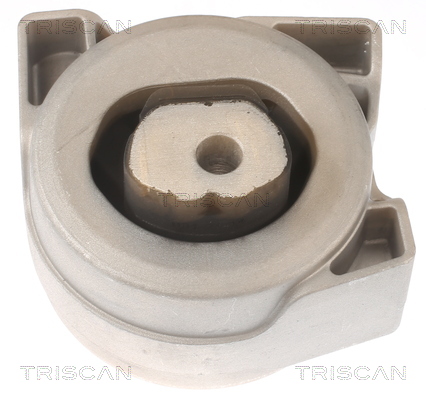 TRISCAN 8505 23103 Lagerung, Motor