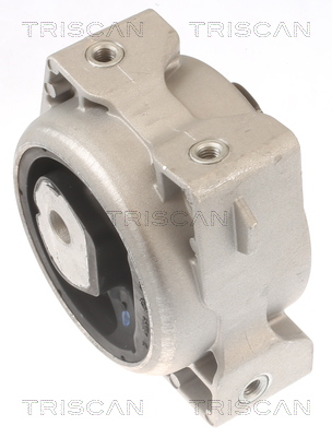 TRISCAN 8505 23103 Lagerung, Motor